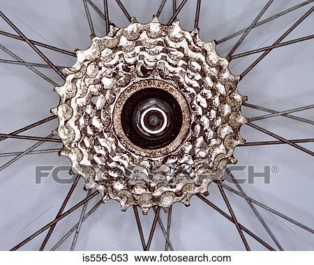 Bicycle wheel View Large Photo Image Stock Image - Bicycle wheel. Fotosearch
