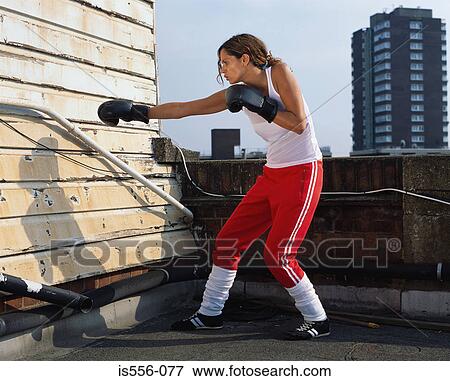 Female boxer on roof View Large Photo Image Stock Photo - Female boxer on roof. Fotosearch