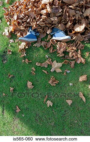 Man buried in leaves View Large Photo Image Stock Image - Man buried in leaves. Fotosearch