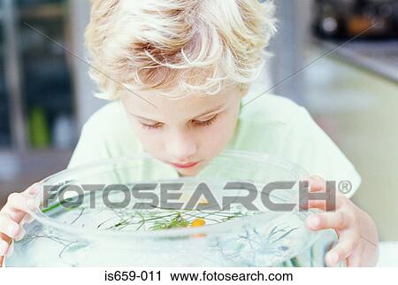 Boy looking into fish bowl View Large Photo Image Stock Image - Boy looking into fish bowl. Fotosearch