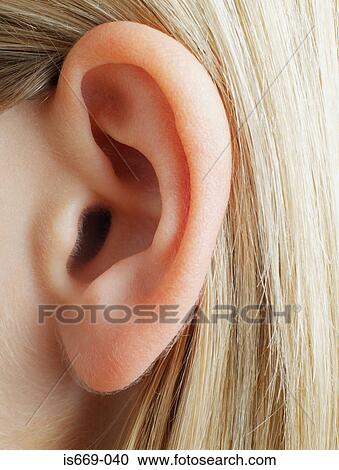 クローズアップ の 女性 耳 ストックイメージ Is669 040 Fotosearch
