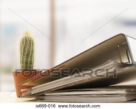 Stock Photograph - Cactus and folders. Fotosearch