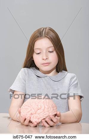 Girl holding a model brain View Large Photo Image Stock Photo - Girl holding a model brain. Fotosearch