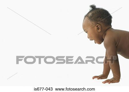 Baby starting to crawl View Large Photo Image Stock Image - Baby starting to crawl. Fotosearch