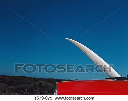 Stock Photography - Surfboard in vintage car. Fotosearch