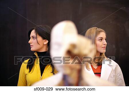 Students with anatomical model View Large Photo Image Stock Photo - Students with anatomical model. Fotosearch