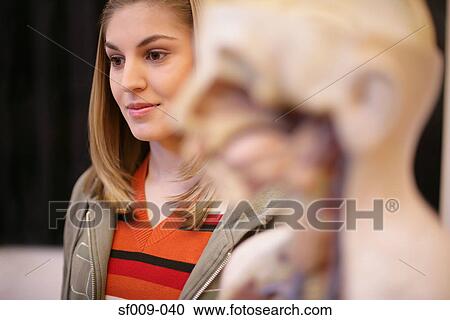 Young woman with anatomical model View Large Photo Image Stock Image - Young woman with anatomical model. Fotosearch