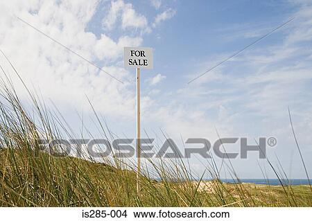 Picture - For sale sign near the coast. Fotosearch