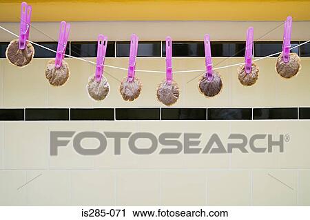 Stock Image - Tea bags hanging on a washing line. Fotosearch