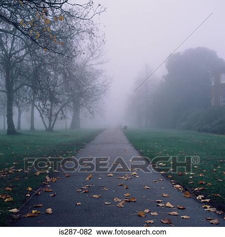 Leaves on a park path View Large Photo Image Stock Image - Leaves on a park path. Fotosearch