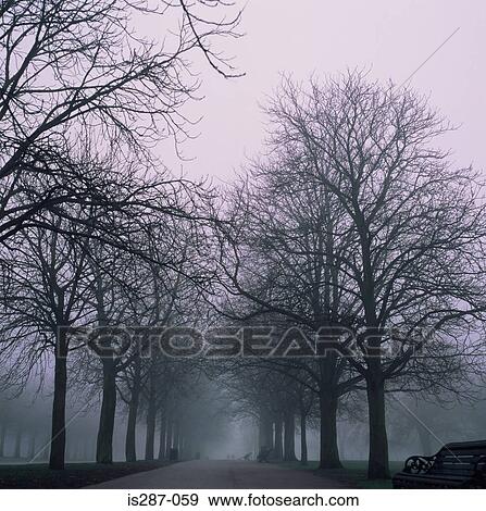 Stock Photo - Misty park. Fotosearch