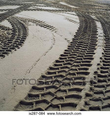 Tyre tracks in the sand View Large Photo Image Picture - Tyre tracks in the sand. Fotosearch