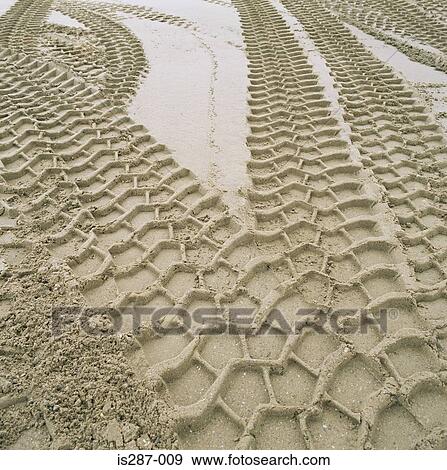 Tyre tracks in the sand View Large Photo Image Stock Photo - Tyre tracks in the sand. Fotosearch