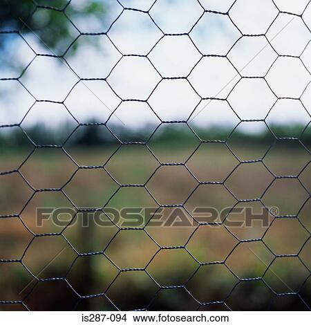 Wire fence View Large Photo Image Picture - Wire fence. Fotosearch