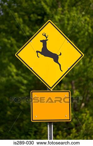 Deer crossing sign View Large Photo Image Stock Image - Deer crossing sign. Fotosearch