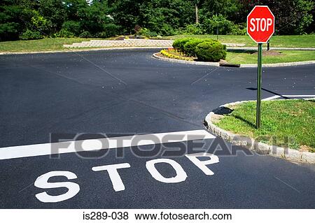 Stop signs in suburban street View Large Photo Image Stock Photo - Stop signs in suburban street. Fotosearch