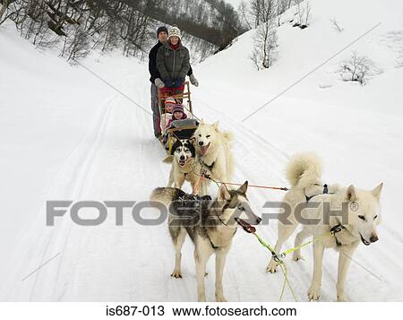 Stock Image - Family on a dog sled. Fotosearch