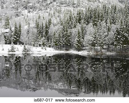 Stock Photo - Lake and snow-covered trees. Fotosearch