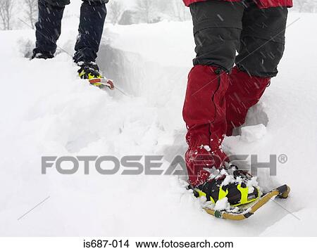 Picture - People trekking through the snow. Fotosearch