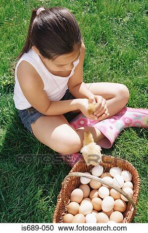 Girl holding a chick View Large Photo Image Stock Image - Girl holding a chick. Fotosearch