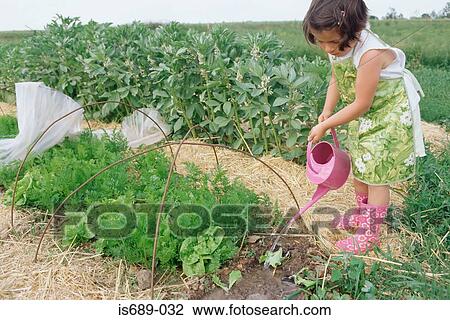 Stock Image - Girl watering plants. Fotosearch