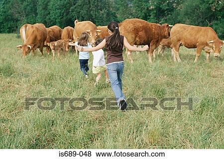 Girls running at herd of cows View Large Photo Image Stock Photo - Girls running at herd of cows. Fotosearch
