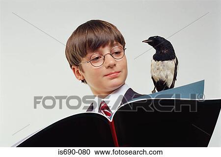 Stock Image - Boy reading a book with magpie on his shoulder. Fotosearch