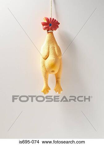 Rubber chicken hanging on a wall View Large Photo Image Picture - Rubber chicken hanging on a wall. Fotosearch