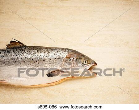 Trout on a cutting board View Large Photo Image Stock Photograph - Trout on a cutting board. Fotosearch
