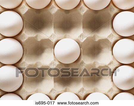 White eggs in a carton View Large Photo Image Stock Photo - White eggs in a carton. Fotosearch