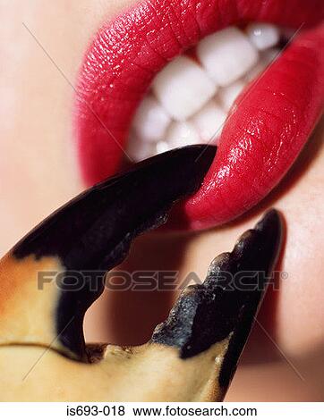 Crab pinching woman's lip View Large Photo Image Stock Photo - Crab pinching woman's lip. Fotosearch