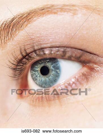Woman's eye View Large Photo Image Stock Image - Woman's eye. Fotosearch