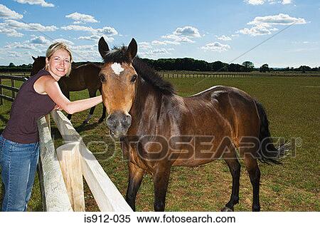 Woman stroking a horse View Large Photo Image Stock Photography - Woman stroking a horse. Fotosearch