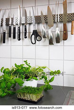 Herbs and utensils in a kitchen View Large Photo Image Stock Photo - Herbs and utensils in a kitchen. Fotosearch