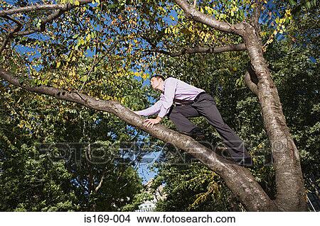 Businessman climbing a tree View Large Photo Image Picture - Businessman climbing a tree. Fotosearch