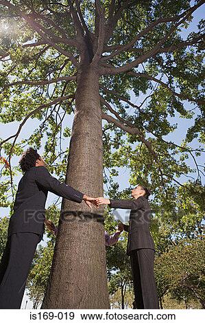 Businesspeople holding hands around a tree View Large Photo Image Stock Photo - Businesspeople holding hands around a tree. Fotosearch