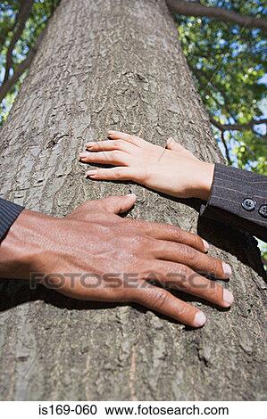 Businesspeople hugging a tree View Large Photo Image Stock Image - Businesspeople hugging a tree. Fotosearch