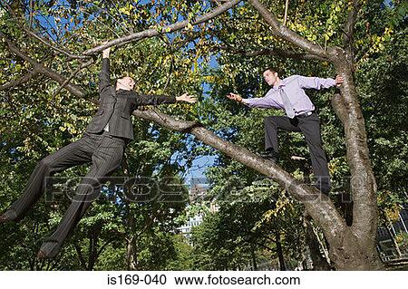 Businesspeople in a tree View Large Photo Image Stock Image - Businesspeople in a tree. Fotosearch