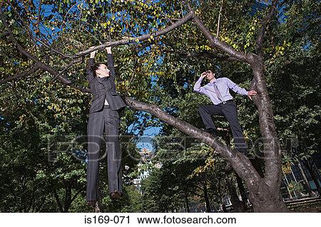 Businesspeople in a tree View Large Photo Image Stock Image - Businesspeople in a tree. Fotosearch