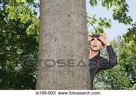 Businesswoman spying from behind a tree View Large Photo Image Stock Image - Businesswoman spying from behind a tree. Fotosearch