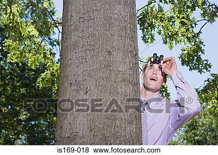 Man using binoculars from behind a tree View Large Photo Image Stock Photo - Man using binoculars from behind a tree. Fotosearch