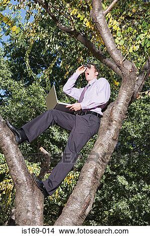 Office worker spying in a tree View Large Photo Image Picture - Office worker spying in a tree. Fotosearch