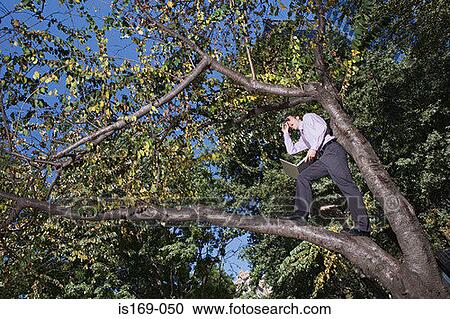Office worker using binoculars on a tree View Large Photo Image Stock Image - Office worker using binoculars on a tree. Fotosearch