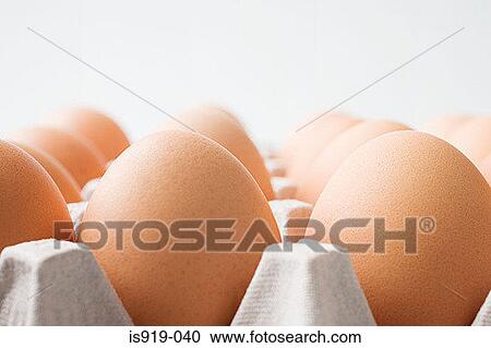 eggs in a carton View Large Photo Image Stock Image - eggs in a carton. Fotosearch