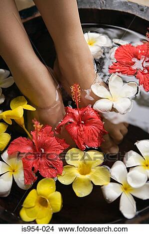 Feet of woman in flower bath View Large Photo Image Picture - Feet of woman in flower bath. Fotosearch