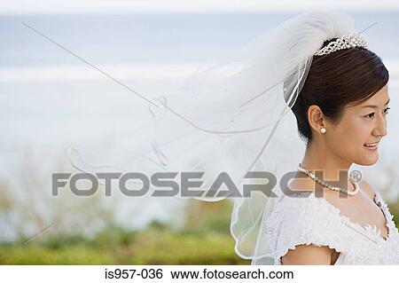 Bride wearing veil View Large Photo Image Stock Photograph - Bride wearing veil. Fotosearch