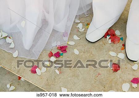 Confetti around feet of bride and groom View Large Photo Image Stock Photo - Confetti around feet of bride and groom. Fotosearch