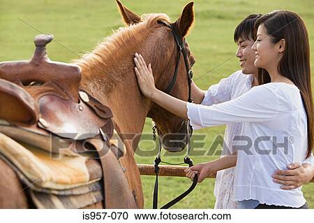 Couple stroking horse View Large Photo Image Stock Image - Couple stroking horse. Fotosearch