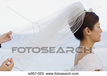 Hands holding bridal veil View Large Photo Image Stock Image - Hands holding bridal veil. Fotosearch