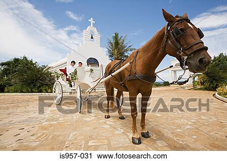 Newlyweds on horsedrawn carriage View Large Photo Image Stock Image - Newlyweds on horsedrawn carriage. Fotosearch